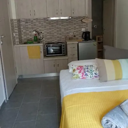 Aelia Lefkas Apartment *